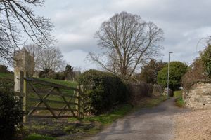 Photo 35- click for photo gallery